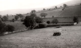 Matty Dent stacking hay, Big Field, Ashfield