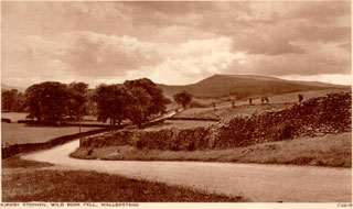 Wildboar, Malllerstang, Kirkby Stephen