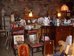 Lune Springs Garden Centre