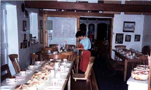 Lune Springs Garden Centre