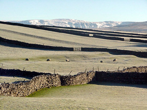 Ravenstonedale in 2006