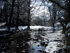 Ravenstonedale in 2008