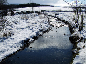 Ravenstonedale in 2008