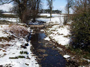 Ravenstonedale in 2008