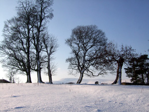 Ravenstonedale in 2009