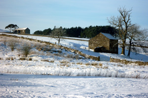 Ravenstonedale in 2010