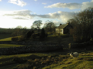 Ravenstonedale