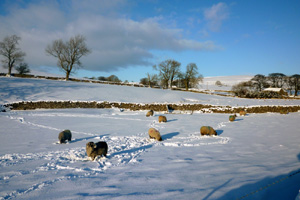 Ravenstonedale