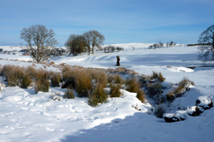 Ravenstonedale