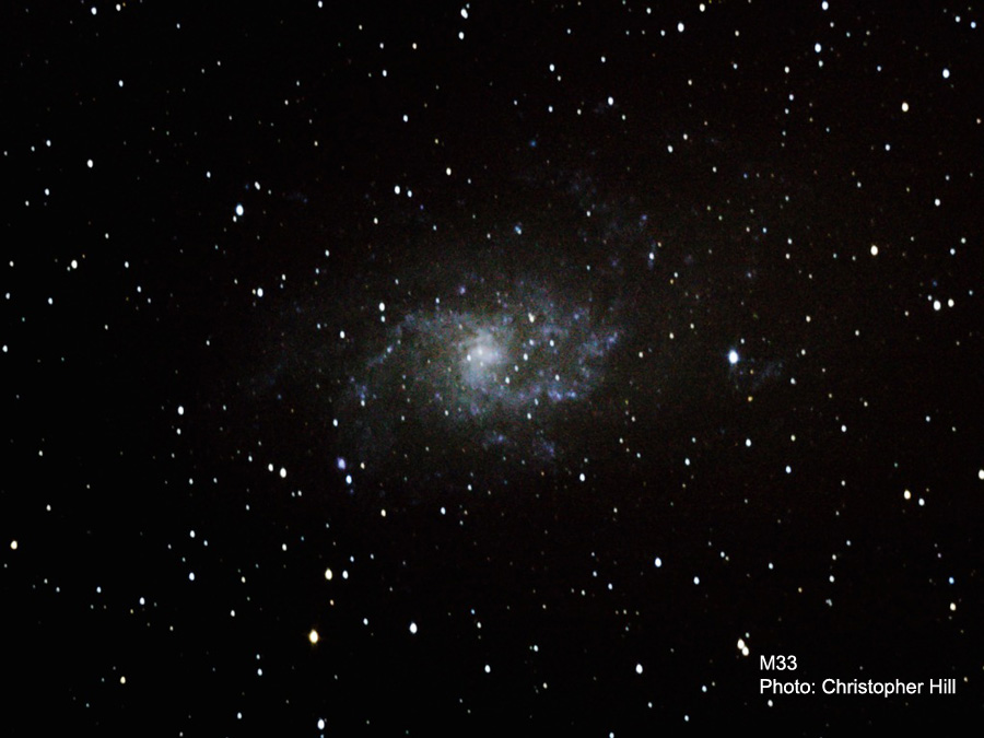 M33
