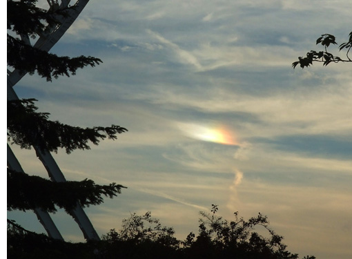 Sundog